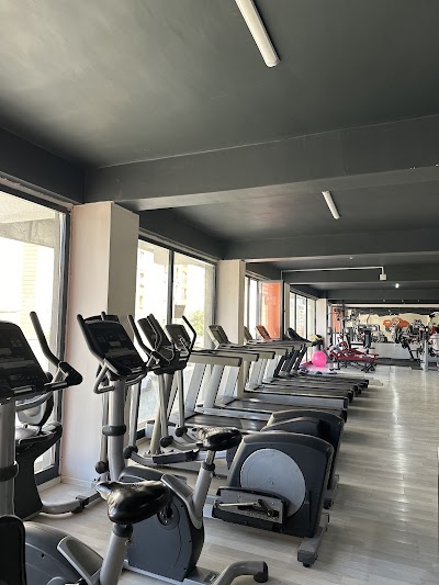 Tiger Fitnes — kare 5