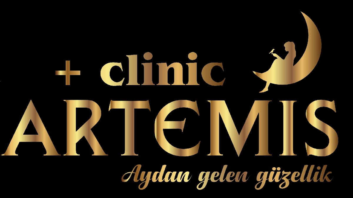 Clinic Artemis — salondan bir kare