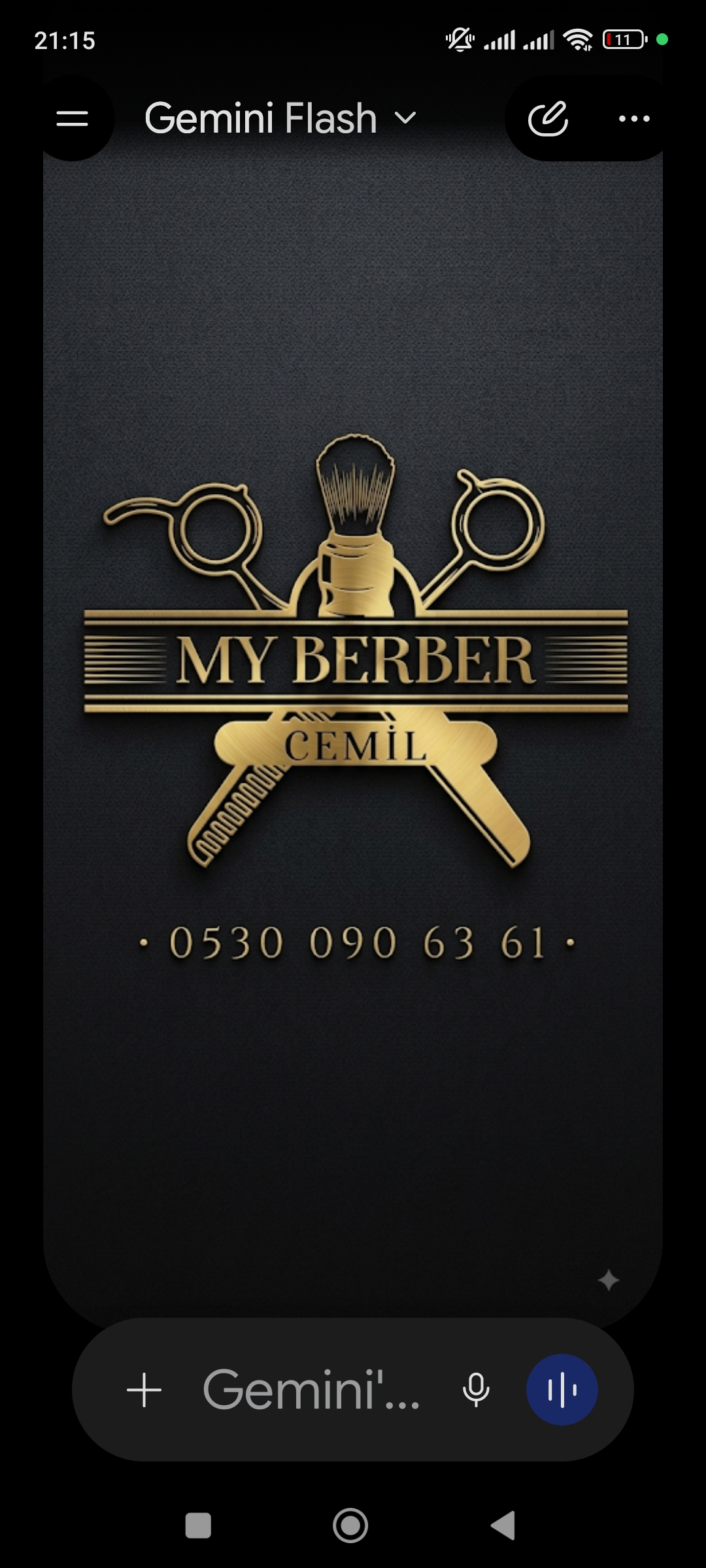My Berber Cemil — salondan bir kare