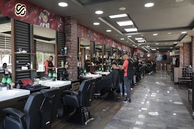 Siesta Coiffeur — kare 2