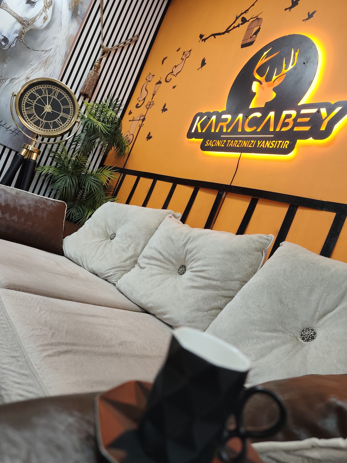 Berber Karacabey — salondan bir kare
