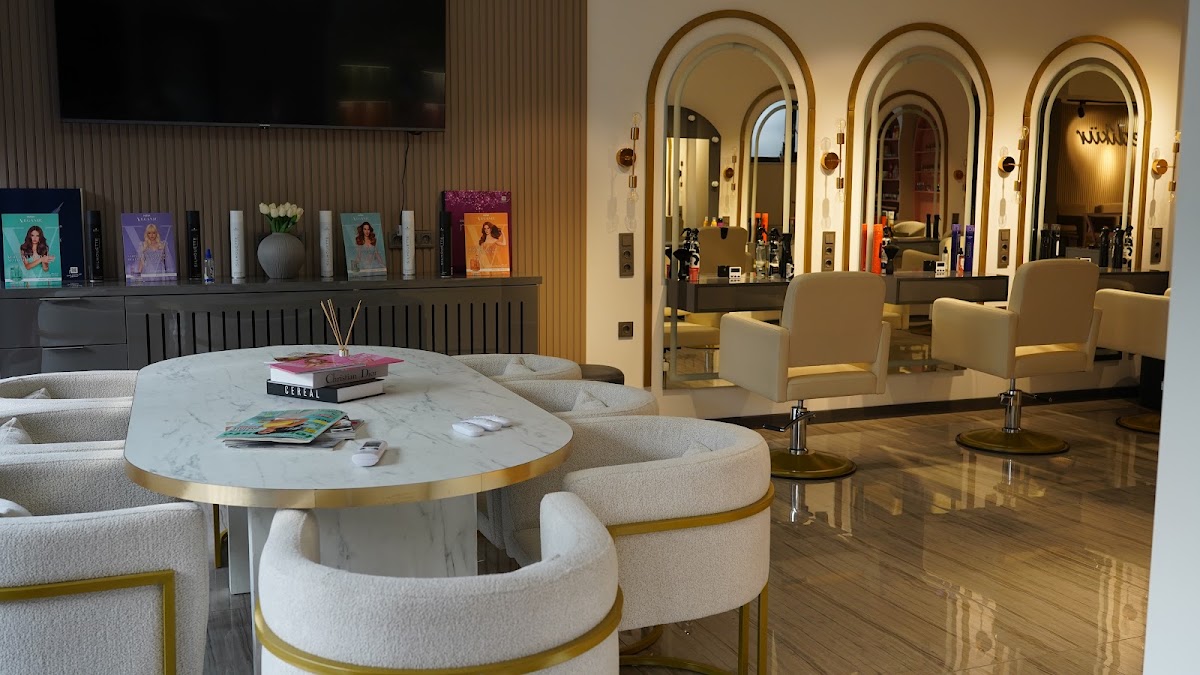 Saloon Anka Plus — salondan bir kare