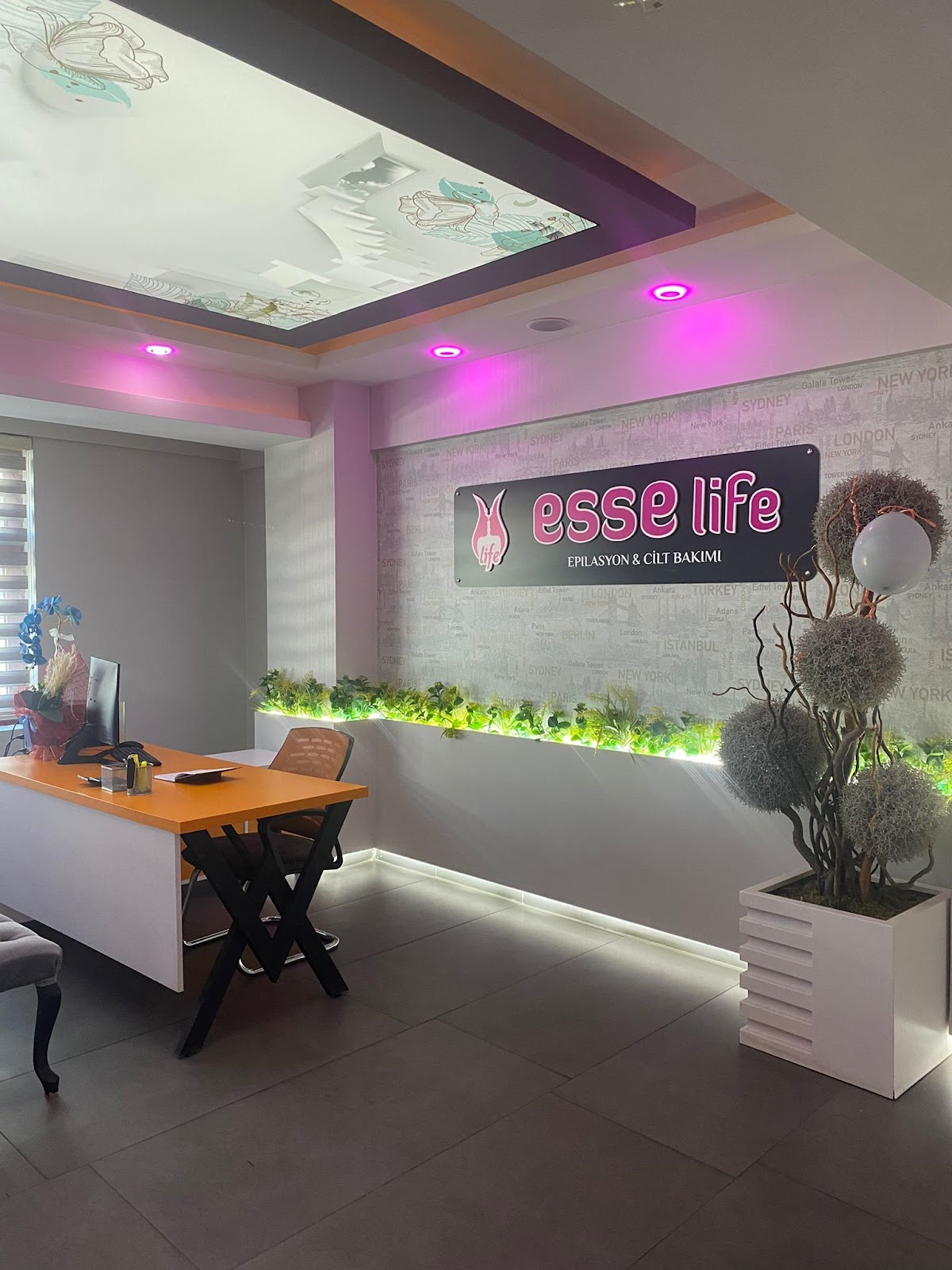 Bingöl Esse Life — salondan bir kare