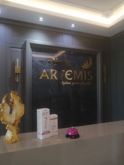 Clinic Artemis — kare 4