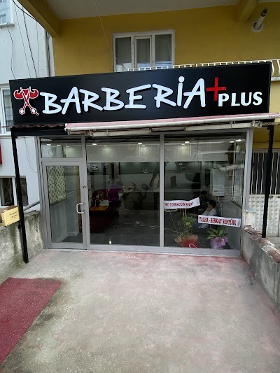 Barberia Plus — kare 2