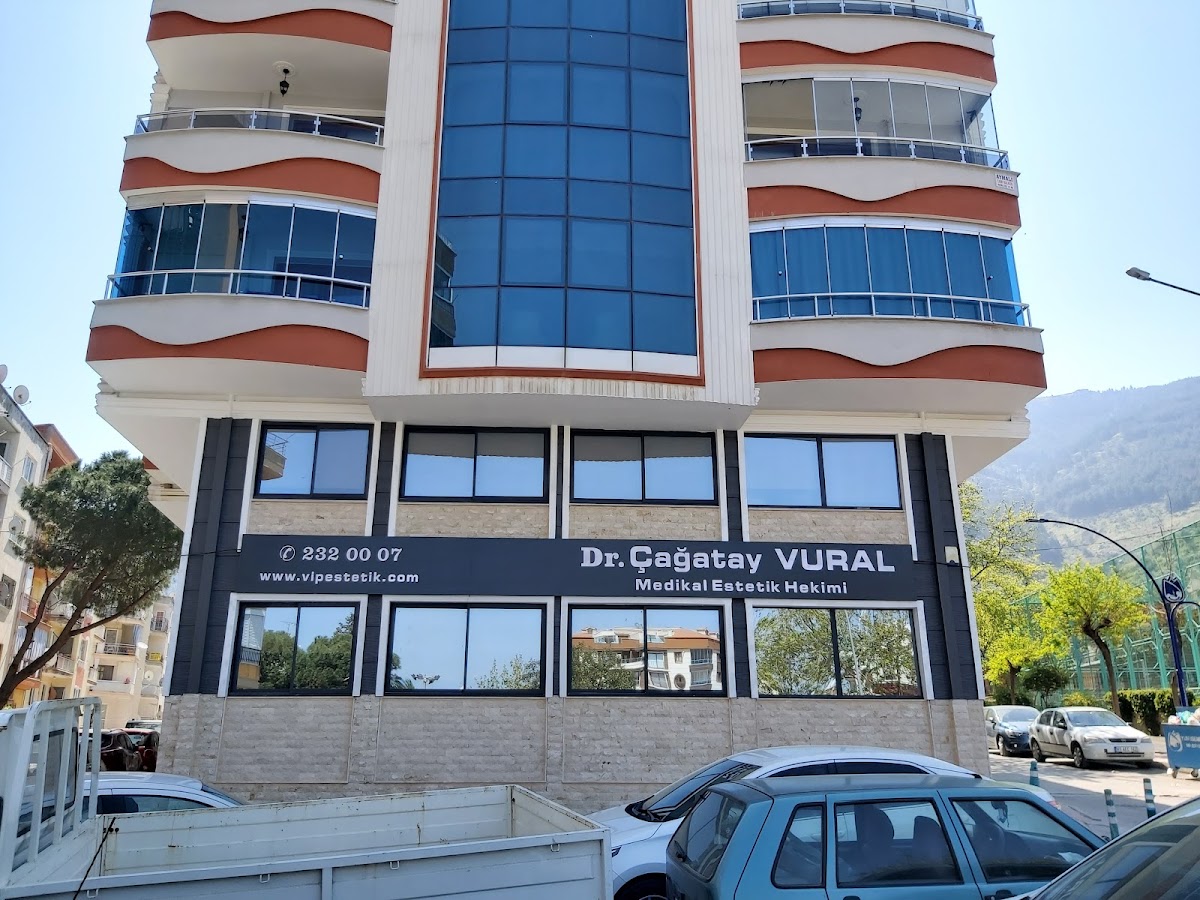 Vip Estetik | Manisa Lazer Epilasyon, Manisa Saç Ekimi, Botoks, Dolgu, Kaş Ekimi, Akupunktur — salondan bir kare