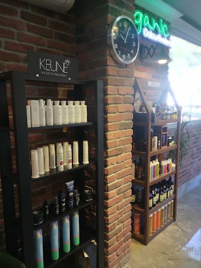 Salon Berkan — kare 4